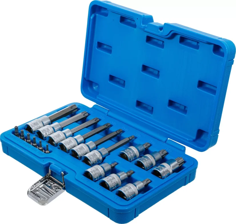 Sada nástrčných hlavic s bity Torx, 1/4", 1/2", T10H-T60H, 18 ks - B5174
