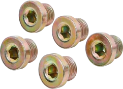 Sada olejových výpustí k BGS 126, M17 x 1,5 mm, 5 ks - B126-SM17