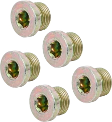 Sada olejových výpustí k BGS 126, M20 x 1,5 mm, 5 ks - B126-SM20