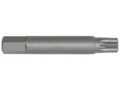 Bit na alternátory T40 - 12 x T40 x 75L - TJ8721-T40