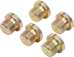 Sada olejových výpustí k BGS 126, M17 x 1,5 mm, 5 ks - B126-SM17