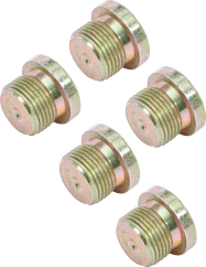 Sada olejových výpustí k BGS 126, M20 x 1,5 mm, 5 ks - B126-SM20